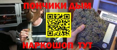тгк Новодвинск